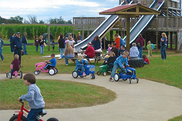 Evans Orchard and Cider Mill 3